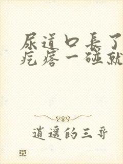 尿道口长了个肉疙瘩一碰就疼