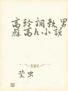 高干调教男男性瘾高h小说