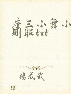 唐三小舞小说未删版txt