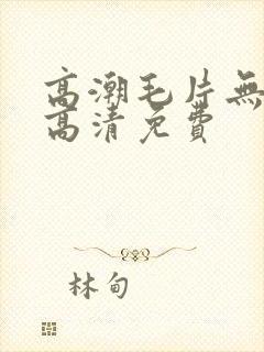 高潮毛片无遮挡高清免费