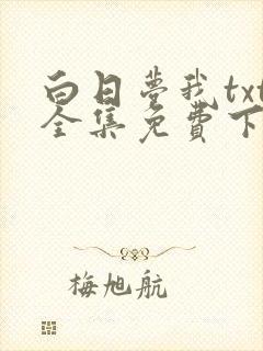 白日梦我txt全集免费下载