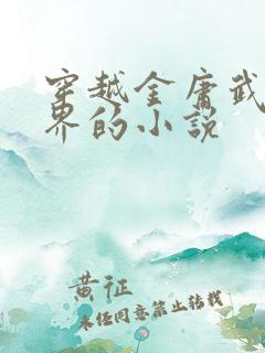 穿越金庸武侠世界的小说