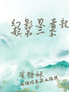 幻影忍者龙之崛起第二季