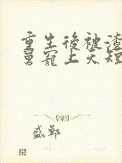 重生后被渣男舅舅宠上天短剧