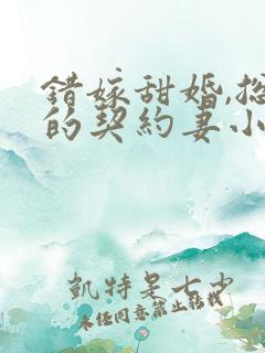 错嫁甜婚,总裁的契约妻小说