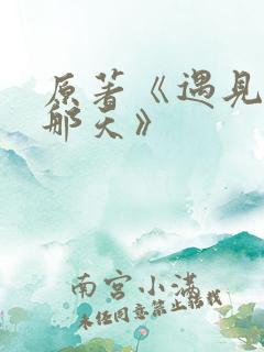 原著《遇见你的那天》