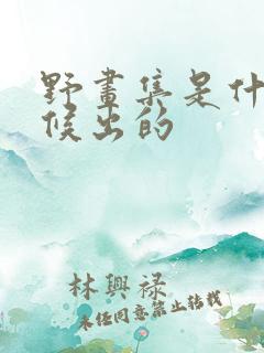 野画集是什么时候出的