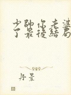 少帅你老婆又跑了最后结局