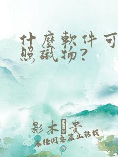 什么软件可以拍照识物?