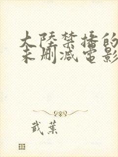 大陆禁播的三级未删减电影