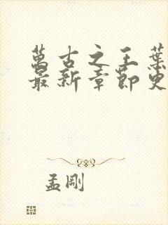 万古之王叶无双最新章节更新小说