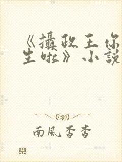 《摄政王你也重生啦》小说