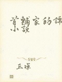 首辅家的锦鲤妻小说