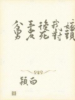 分手后我嫁给前男友死对头小说最新章节