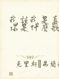 我说我是真的爱你是什么歌的歌词