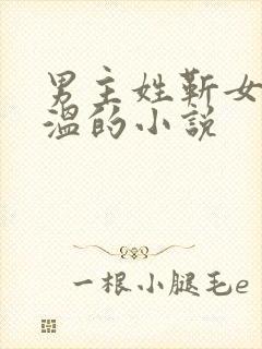 男主姓靳女主姓温的小说