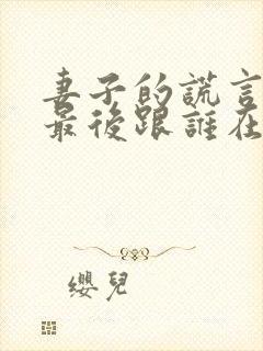 妻子的谎言一珊最后跟谁在一起了