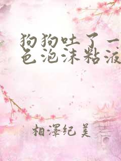 狗狗吐了一滩白色泡沫粘液还拉稀