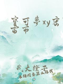 宝可梦xy密阿雷市