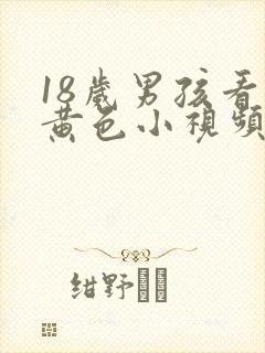 18岁男孩看的黄色小视频