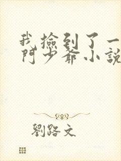 我捡到了一对豪门少爷小说