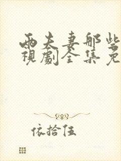 两夫妻那些事电视剧全集免费观看