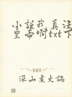 小说我真没想当皇帝啊txt下载