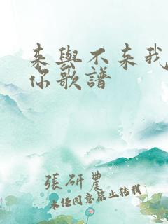 来与不来我都等你歌谱