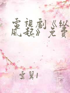 电视剧《纵有疾风起》免费观看