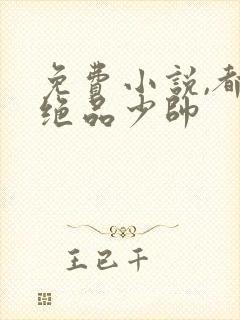 免费小说,都市绝品少帅