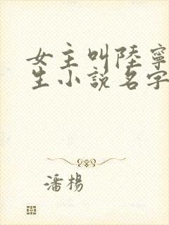 女主叫陆宁的重生小说名字