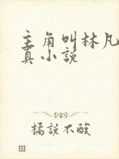 主角叫林凡的修真小说