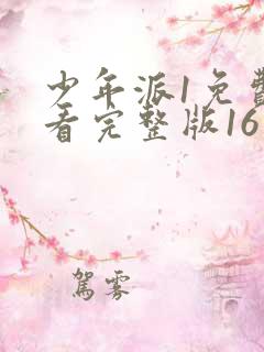 少年派1免费观看完整版16集