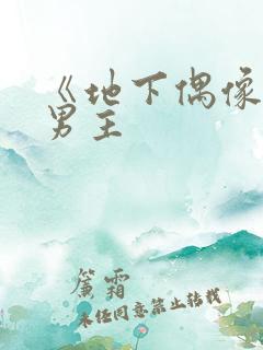 《地下偶像》双男主