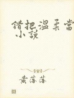 错把温柔当情深 小说