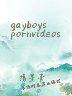 gayboyspornvideos