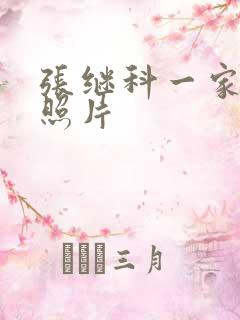 张继科一家三口照片