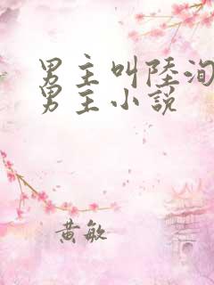 男主叫陆洵的双男主小说