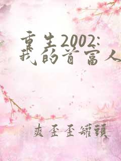 重生2002:我的首富人生全本阅读