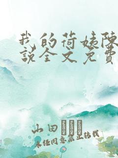 我的荷姨陈东小说全文免费阅读