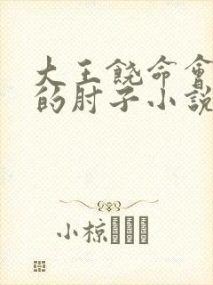 大王饶命会说话的肘子小说无删减版