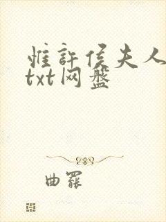 惟许侯夫人小说txt网盘