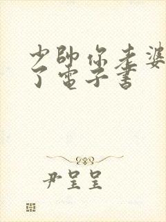 少帅你老婆又跑了电子书