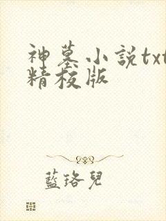 神墓小说txt精校版