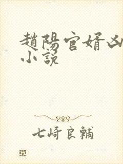 赵阳官婿凶猛的小说