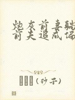 炮灰前妻躺平后前夫追成偏执狂小说