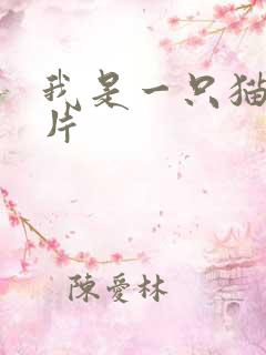 我是一只猫动画片