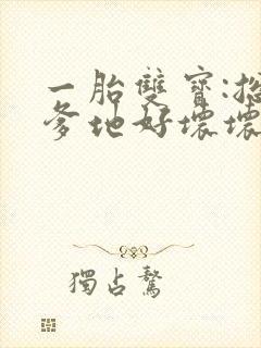 一胎双宝:总裁爹地好坏坏