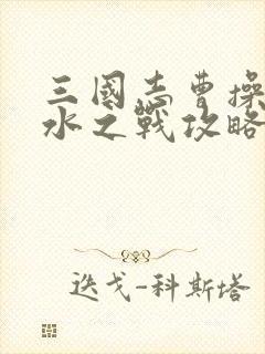 三国志曹操传汉水之战攻略