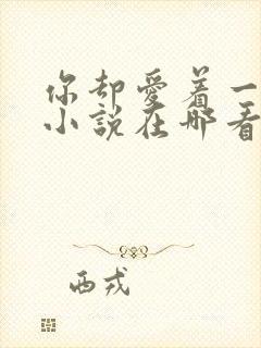 你却爱着一个他小说在哪看